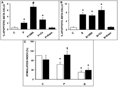 Modulation of Autophagy Influences the Function and Survival of Human Pancreatic Beta Cells Under Endoplasmic Reticulum Stress Conditions and in Type 2 Diabetes